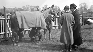 Racecourse Prints: Towcester Races paddock