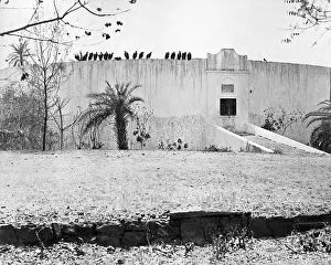 Tower of Silence, Bombay (Mumbai), India