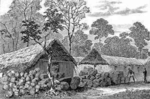 Acing Gallery: Town of Barracoe, Gold Coast, 1874