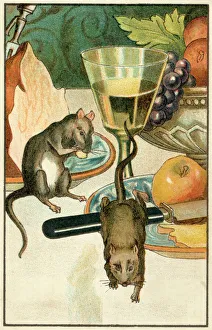 Fables Gallery: Town & Country Mouse