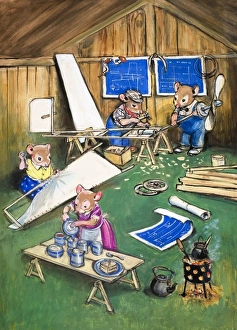 Images Dated 5th October 2006: Town Mouse and Country Mouse