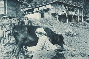 Trabzon, Turkey - Country Life Trabzon, Turkey - Country Life