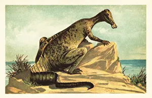 Trachodon mirabilis, extinct hadrosaurad dinosaur