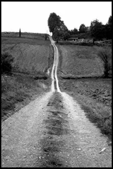 Images Dated 20th October 2012: Track through fields, Tuscany, Italy