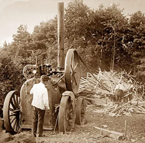 Traction engine powering a saw mill, Victorian period