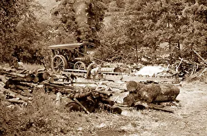 Traction engine at a sawmill
