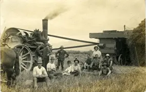 Traction Engine & Threshing Machine, New Zealand