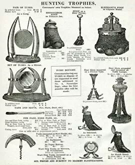 Images Dated 21st November 2016: Trade catalogue for hunting trophies 1937