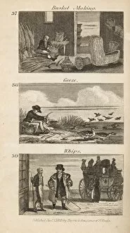 Images Dated 7th June 2020: Trades in Regency England: basket making, geese plucking