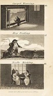 Images Dated 5th June 2020: Trades in Regency England. Carpet weaving, hog feeding