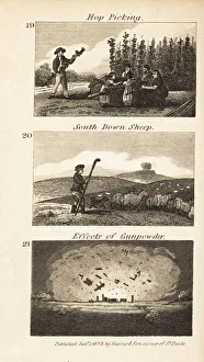 Images Dated 5th June 2020: Trades in Regency England. Hop picking, South Down