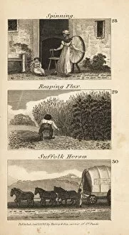 Woodblock Collection: Trades in Regency England. Spinning, reaping flax