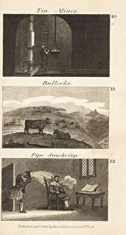 Images Dated 5th June 2020: Trades in Regency England. Tin mines, bullocks