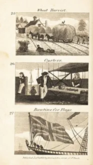 Images Dated 7th June 2020: Trades in Regency England: wheat harvest, oysters