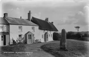 Whitewashed Prints: Traditional Cornish Cottages