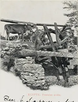 Irrigation Prints: Traditional Egyptian water wheel