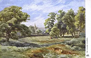 A traditional idyllic rural country view