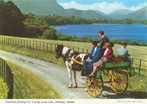 Killarney Prints: traditional jaunting car touring lower lake killarney
