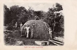 Reeds Prints: Traditional South African home being built in the bush