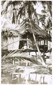 Traditional stilt house of Papua New Guinea