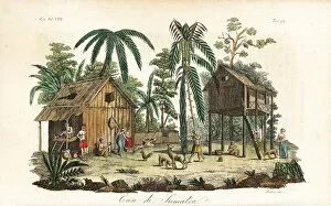 Stilt Collection: Traditional stilt houses in a village in Sumatra, circa 1800