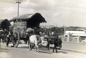 Images Dated 12th April 2022: Traditional Transportation - Covered Ox Cart - Colombo, Sri Lanka. Date: 1928