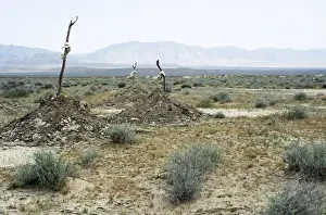 Turkmenistan Prints: Traditional Turkmen graves - a cemetery of simple