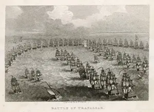 Trafalgar, Birds Eye