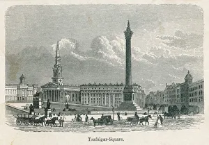 London Collection: Trafalgar Sq before Lion
