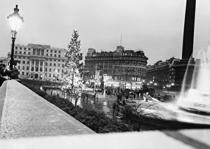 Trafalgar Sq Xmas Tree