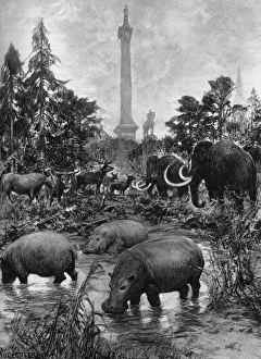 Images Dated 3rd February 2016: Trafalgar Square in the Ice Age