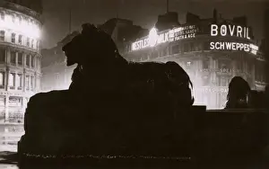 Bovril Prints: Trafalgar Square Lion at Night - The Night Watch
