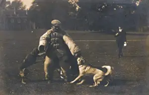 Intruder Prints: Training Dog to Attack
