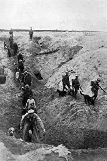 Messengers Prints: Training dogs at the British War Dog School, WW1
