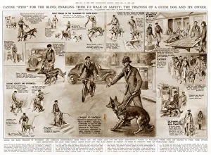 Images Dated 14th September 2018: Training a guide dog and its owner