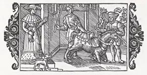 Training a Horse, 1555
