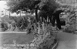 Tranquil Garden Pathway