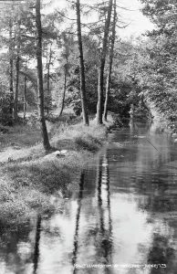 Tranquil River Scene at Newland