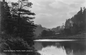 Dorking Prints: Tranquil Scene at Friday Street