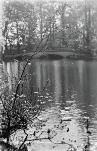Swims Prints: Tranquil Scene at Kenwood