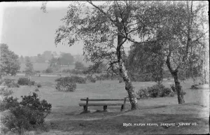 Milton Prints: Tranquil Scene at Milton Heath