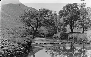 Monsal Prints: Tranquil Scene in Monsal Dale