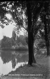 Pittville Prints: Tranquil Scene at Pittville Gardens