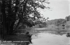 Tranquil Scene at Swanbourne Lake