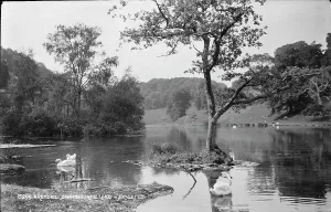 Arundel Prints: Tranquil Scene at Swanbourne Lake