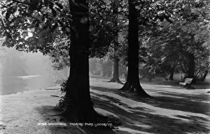 Shadows Prints: Tranquil Scene at Thornes Park