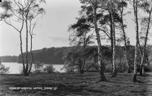 Birch Prints: Tranquil Scene at Virginia Water