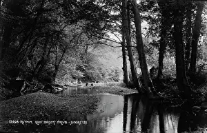 Ruthin Prints: Tranquil Stream at Lady Bagot's Drive