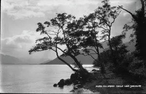 Killarney Prints: Tranquil View of Middle Lake