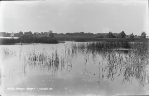 Reeds Prints: Tranquil Waters of Barton Broad